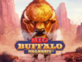 game logo by Skywind Group on don-bet.org