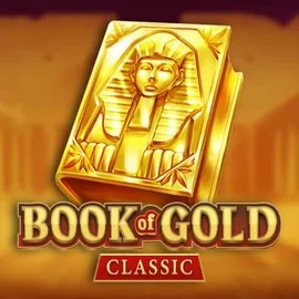 game logo by Playson on don-bet.org
