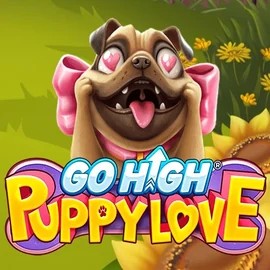 game logo by RubyPlay on don-bet.org